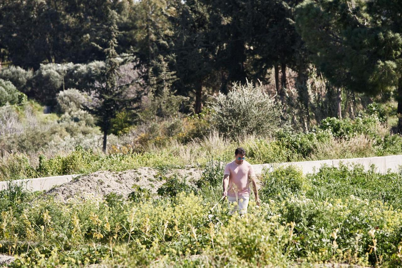 Anar Villas Rhodes Koskinou  エクステリア 写真